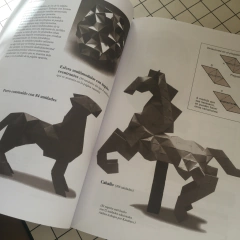 Imagen de Origami para expertos