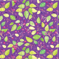 Dreams and Paper - Maqui - comprar online