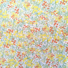 Dreams and Paper - Pañil - comprar online
