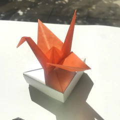 Translucent Paper - Glassine - Naranja en internet