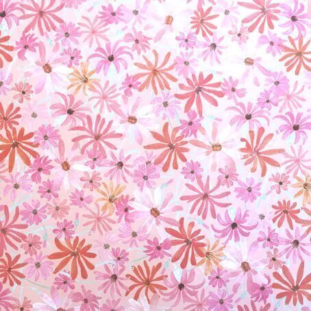 Dreams and Paper - Mutisia en internet