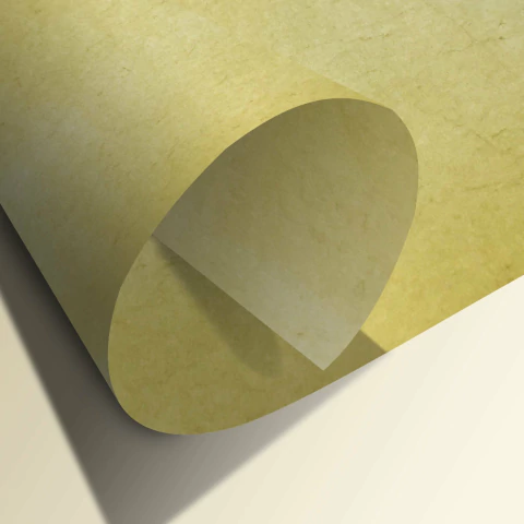 Elephant Hide Ocre - comprar online