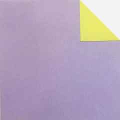 Dreams and Paper - Lisos Bifaz