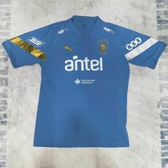 Camiseta entrenamiento Uruguay 2022 celeste - comprar online