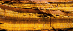 Banner da categoria Olho de Tigre