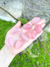Quartzo rosa extra rolado com asterismo - muito raro - comprar online