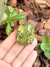 Jade nefrita serpentinito - Pedra da plenitude