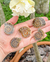 Amonita marroquina qualidade especial extra - comprar online
