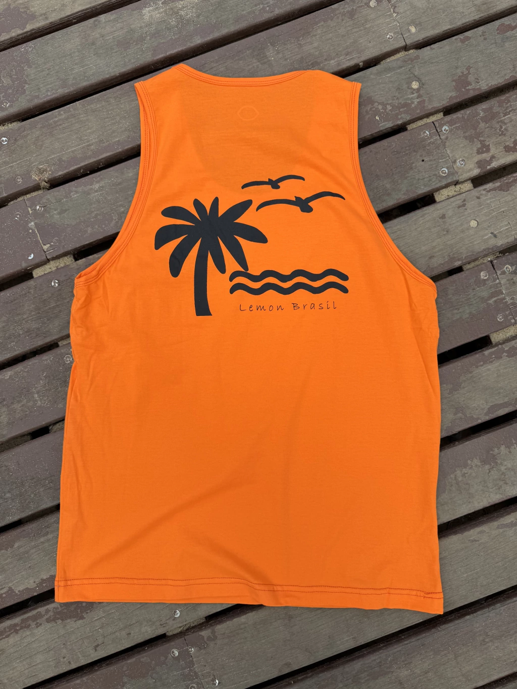 Regata tradicional praia