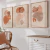 Kit 3 Quadros Decorativos Boho costela de adão - comprar online