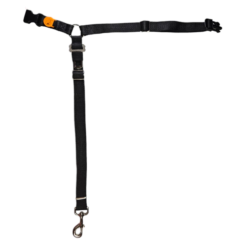 Cinturón seguridad Duo