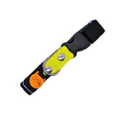 Collar Nox Chico - comprar online