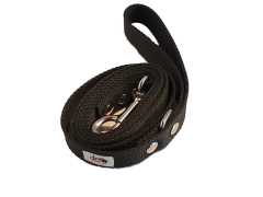 Correa 1,5M en internet