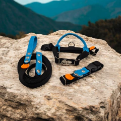 Correa Nox 3M - For My Dog