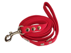 Correa 1,5M en internet