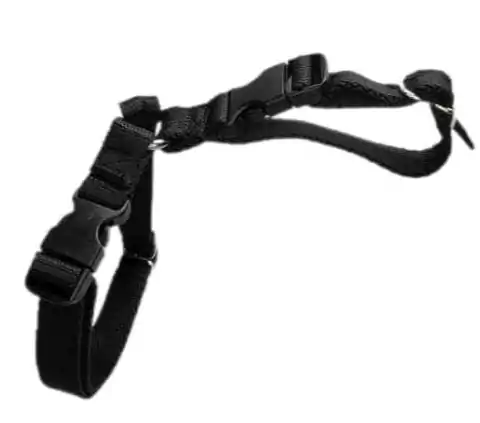 Accesorios anti escape