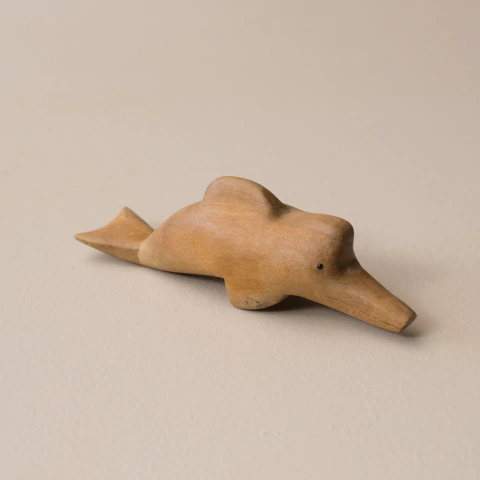 Bicho Boto em Madeira