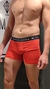 Boxer Toro