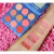 Blush Crush 9 Color Blush Palette - Level Up Rude Cosmetics - Bella Clara Maquillaje