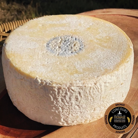QUEIJO “CAPA BRANCA”