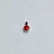Esmalte