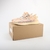 Adidas Yeezy Boost 350 V2 - MX Oat