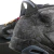 Air Jordan 6 Retro - Singles Day