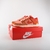 Nike Dunk Low - Winter Solstice