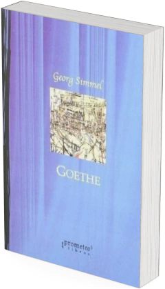 Goethe / Georg Simmel