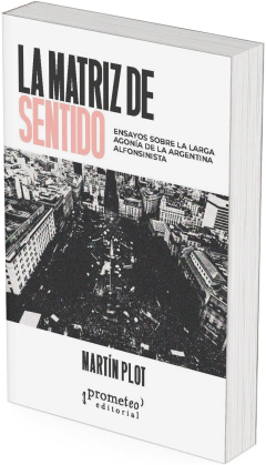 La matriz de sentido. Ensayos sobre la larga agonía de la Argentina alfonsinista / Martín Plot