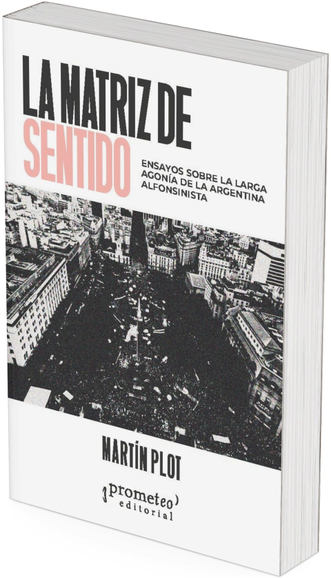 La matriz de sentido. Ensayos sobre la larga agonía de la Argentina alfonsinista / Martín Plot