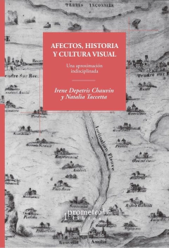 Afectos, historia y cultura visual. Una aproximación indisciplinada / Depetris Chauvin, Irene - Taccetta, Natalia