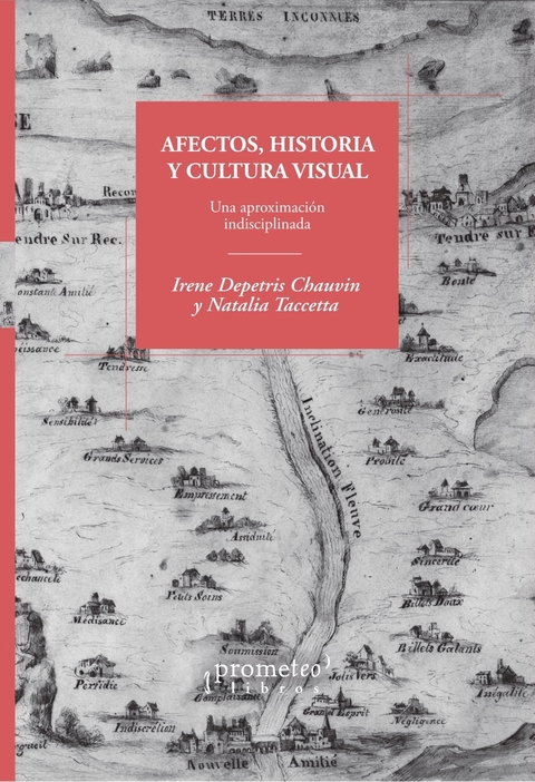 Afectos, historia y cultura visual. Una aproximación indisciplinada / Depetris Chauvin, Irene - Taccetta, Natalia