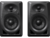 Monitor de Audio DM-40-D (bivolt)