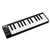 LPK 25 AKAI na internet