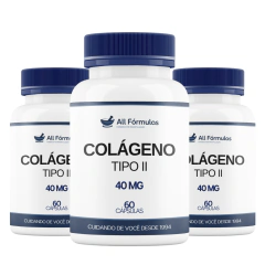Colágeno Tipo 2 40MG - 60 Cápsulas na internet