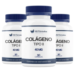Colágeno Tipo 40MG - 90 Cápsulas na internet