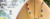 Imagem do banner rotativo 3