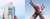 Imagem do banner rotativo 5