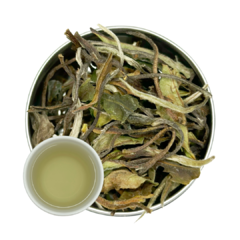 Pai Mu Tan - Chá Branco (Baimudan) - comprar online