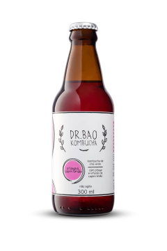 Caixa Dr. Bao Kombucha 24 unidades na internet