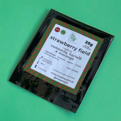 Strawberry Field | CHAVENA