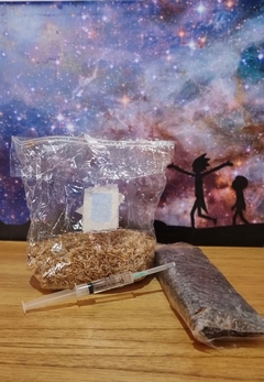 Kit Esencial Mexican Dutch Principiantes - comprar online