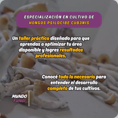 Taller + Kit Esencial en internet