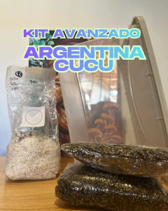 KIT 30 dias con INCUBADORA Gen. CUCUMEL0 - comprar online