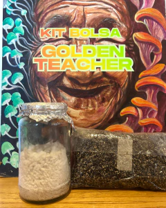 Kit Bolsa RAPIDO 30 dias / Genetica Golden Teacher - comprar online