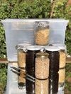 Kit Completo Albino A+ Mundo Fungi
