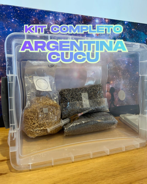 Kit Completo Argentina/Cucumelo - comprar online