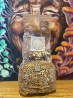 Kit Esencial Mexican Dutch Principiantes en internet