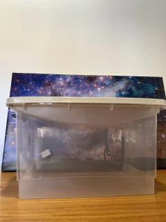 Kit Completo Mexican Dutch Ideal Principiantes en internet